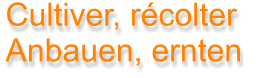 Cultiver, rcolter Anbauen, ernten