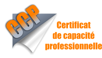 Certificat de capacit professionnelle  CCP